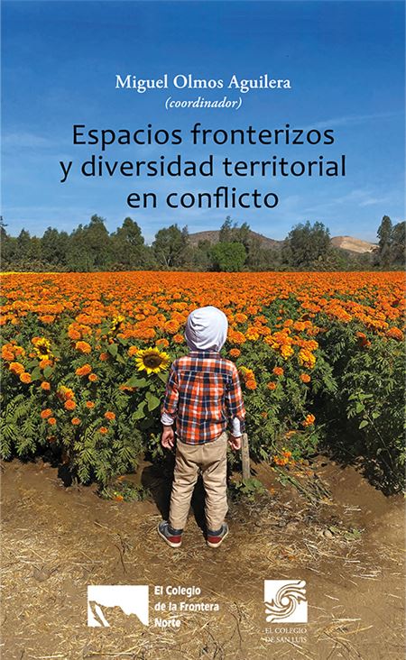 Espacios fronterizos y diversidad territorial en conflicto