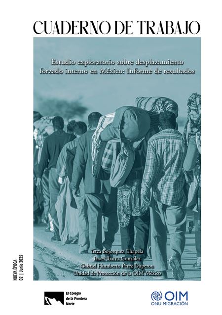 Estudio exploratorio sobre desplazamiento forzado interno en México: Informe de resultados [Cuaderno de trabajo]