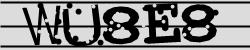 Retype the CAPTCHA code from the image