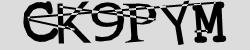 Retype the CAPTCHA code from the image