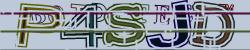 Retype the CAPTCHA code from the image