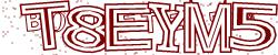 Retype the CAPTCHA code from the image