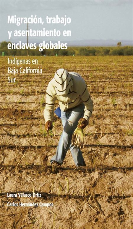 Migración, trabajo y asentamiento en enclaves globales. Indígenas en Baja California Sur