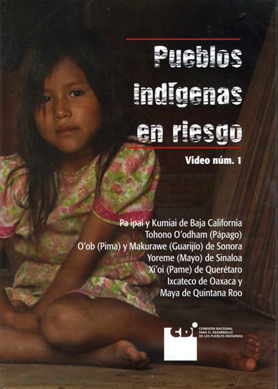 Portada de Pueblos indígenas en riesgo. Vol I (DVD)