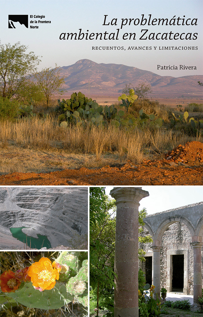 Portada de La problemática ambiental en Zacatecas: recuentos, avances y limitaciones